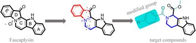 Comparison of the Inhibitory Binding Modes Between the Planar Fascaplysin and Its Nonplanar Tetrahydro-β-carboline Analogs in CDK4